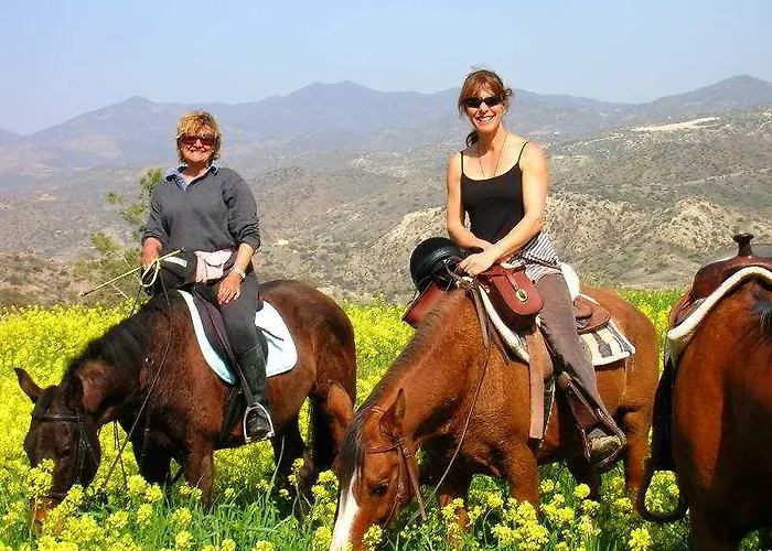 מלון Cyprus Villages